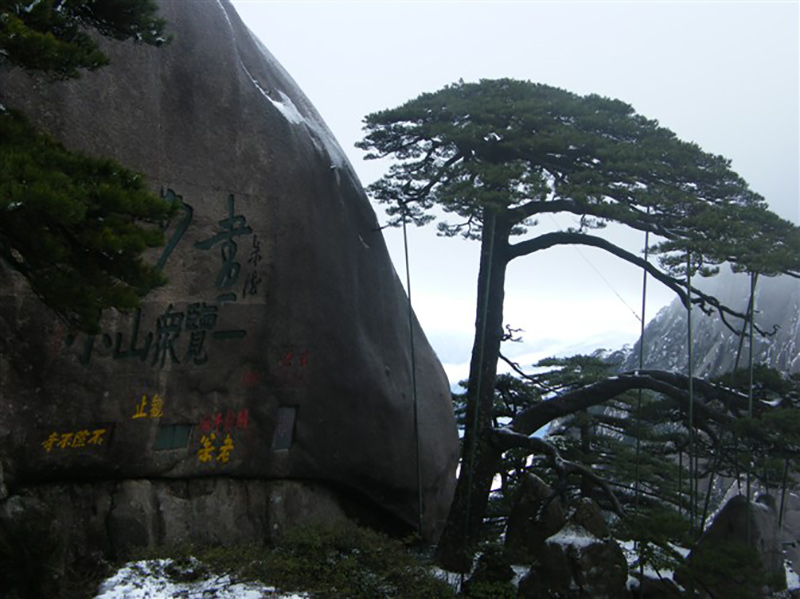 2009年3月份集團工會(huì )組織全體員工外出旅游活動(dòng)8.jpg